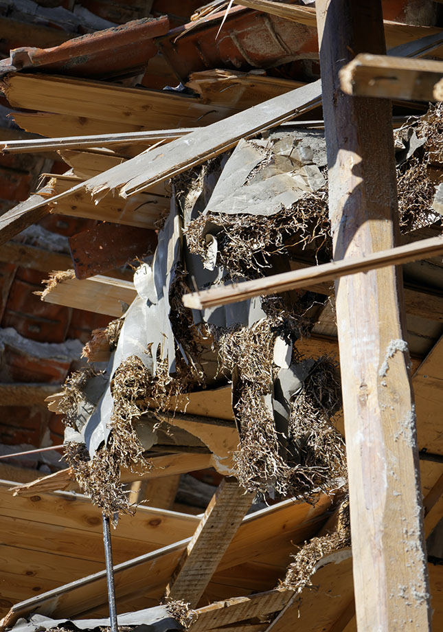 Kreislaufwirtschaft im Holzbau